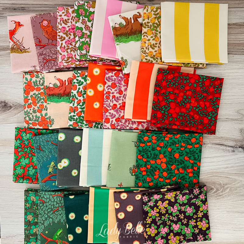 Forestburgh Housetop No. 6 Quilt Kit by Heather Ross for Windham Fabrics