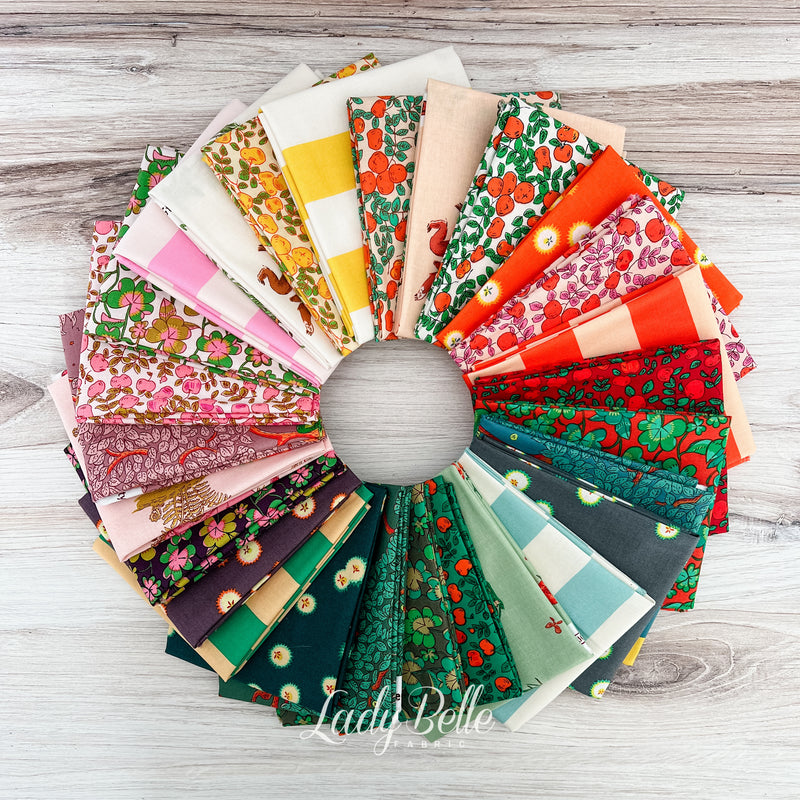 West Hill Basics by Heather Ross for Windham Fabrics Fat Quarter Bundle