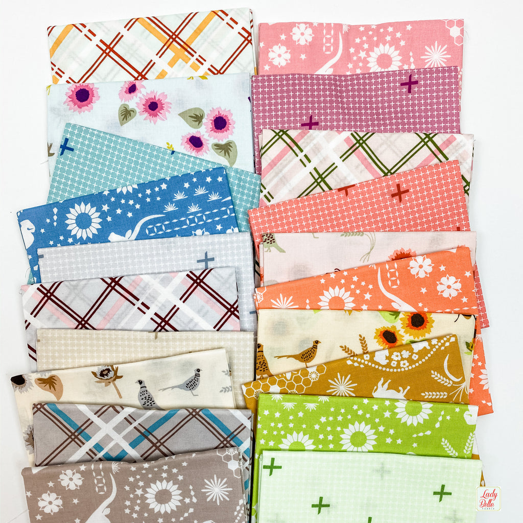 Buffalo Flats by Violet Craft for Robert Kaufman Fat Quarter Bundle