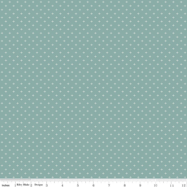 Gingham Gardens Aqua Plus C10357 by My Minds Eye for Riley Blake Designs