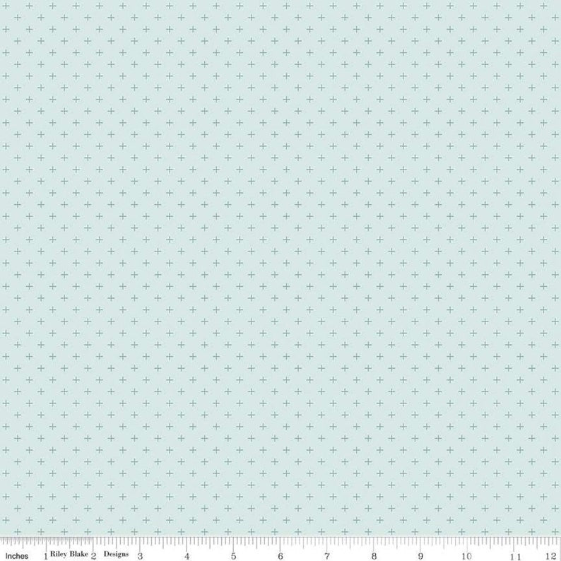 Gingham Gardens Teal Plus C10357 by My Minds Eye for Riley Blake Designs