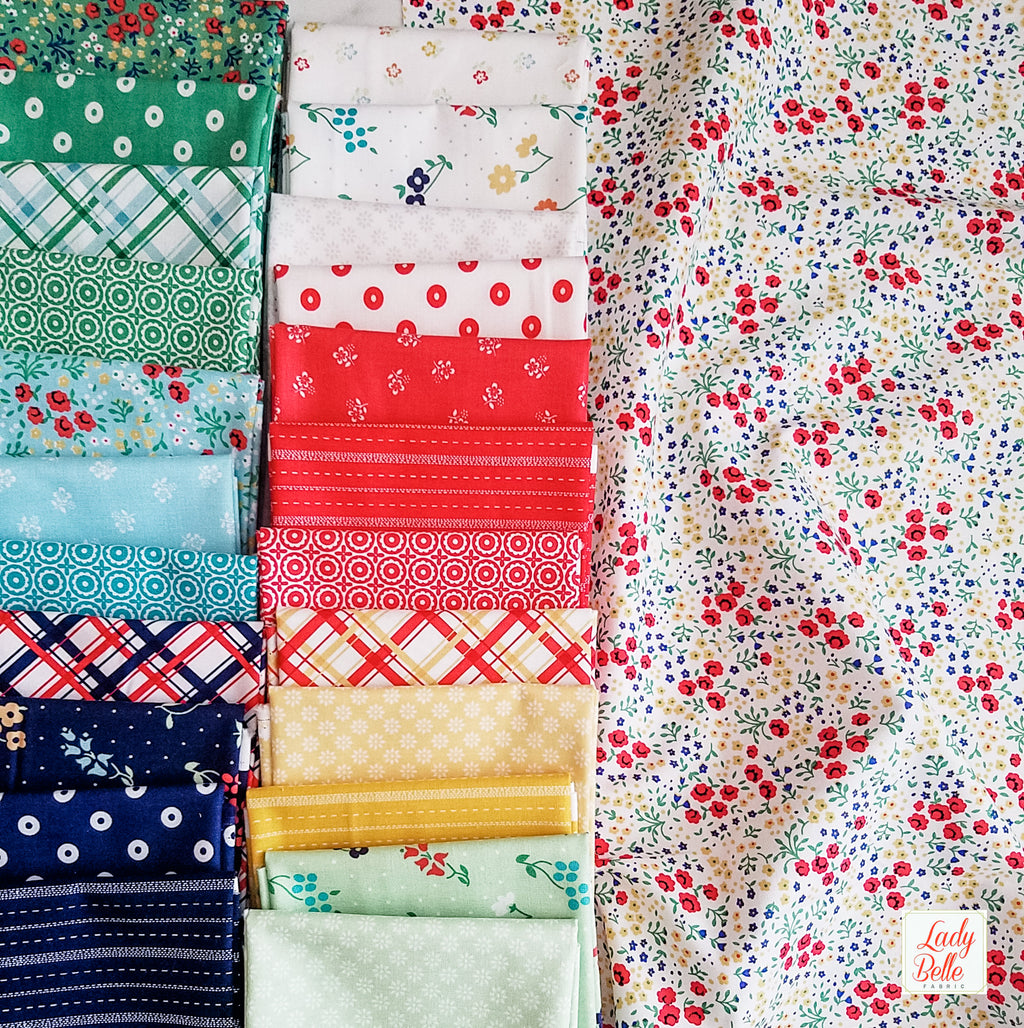 Sugarhouse Park by Amy Smart for Riley Blake Half Yard Bundle