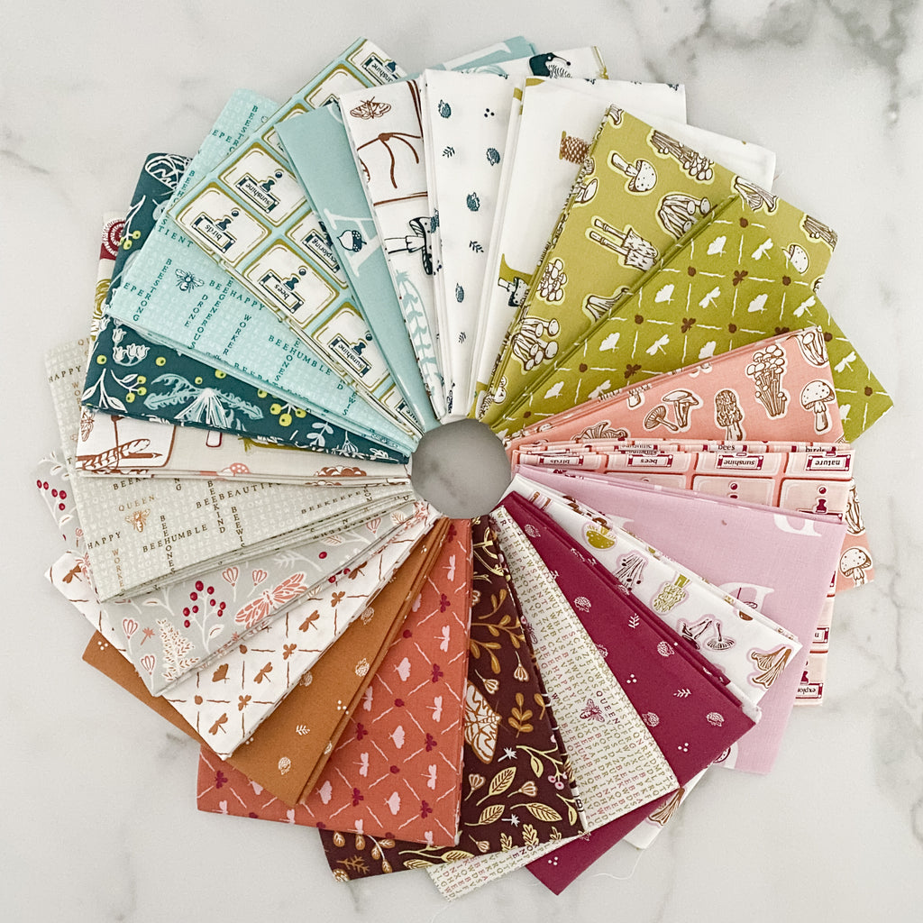 Summer School by Judy Jarvi for Windham Fabrics Fat Quarter Bundle